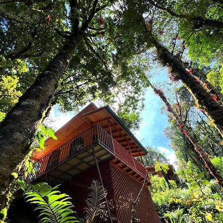 Cabana Anturios San Jose  Bagian luar foto