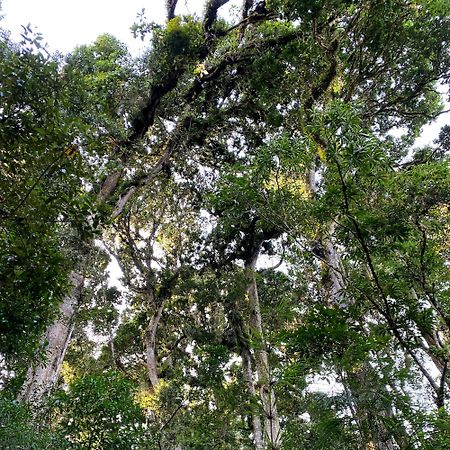 Cabana Anturios San Jose  Bagian luar foto