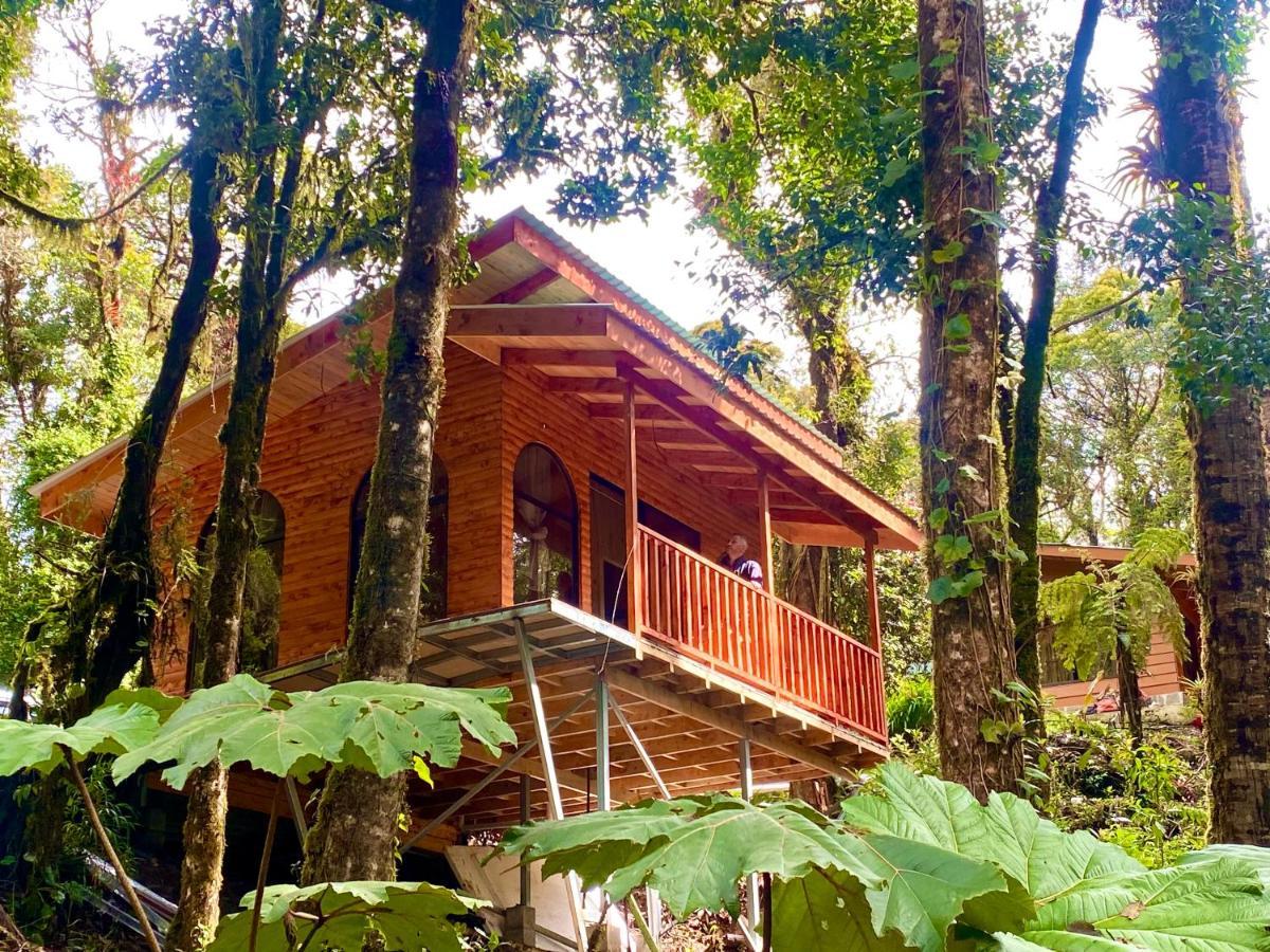 Cabana Anturios San Jose  Bagian luar foto