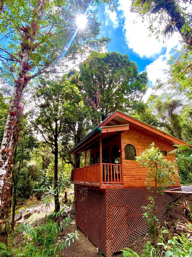 Cabana Anturios San Jose  Bagian luar foto