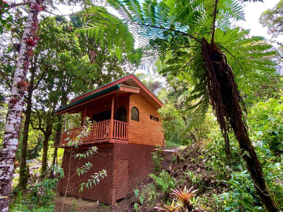 Cabana Anturios San Jose  Bagian luar foto