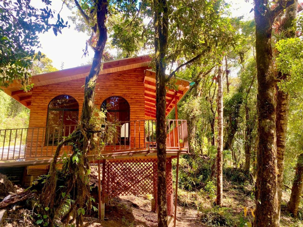 Cabana Anturios San Jose  Bagian luar foto