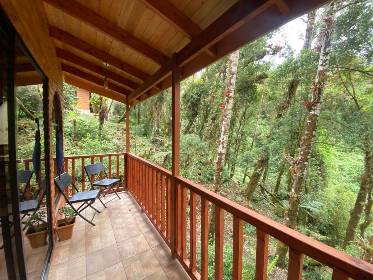 Cabana Anturios San Jose  Bagian luar foto