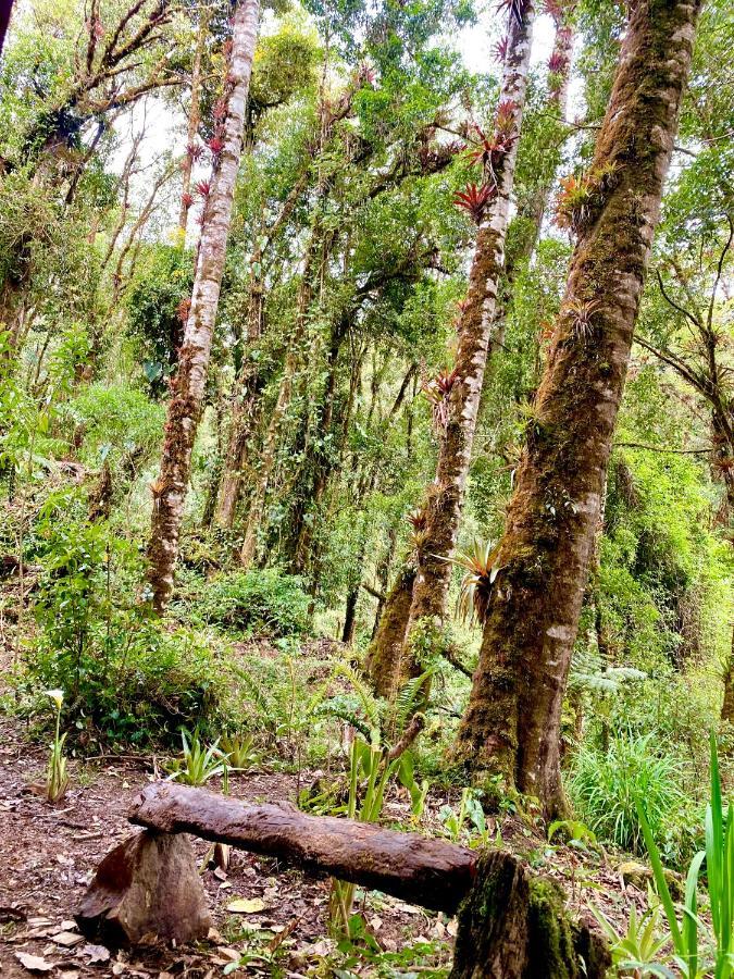 Cabana Anturios San Jose  Bagian luar foto