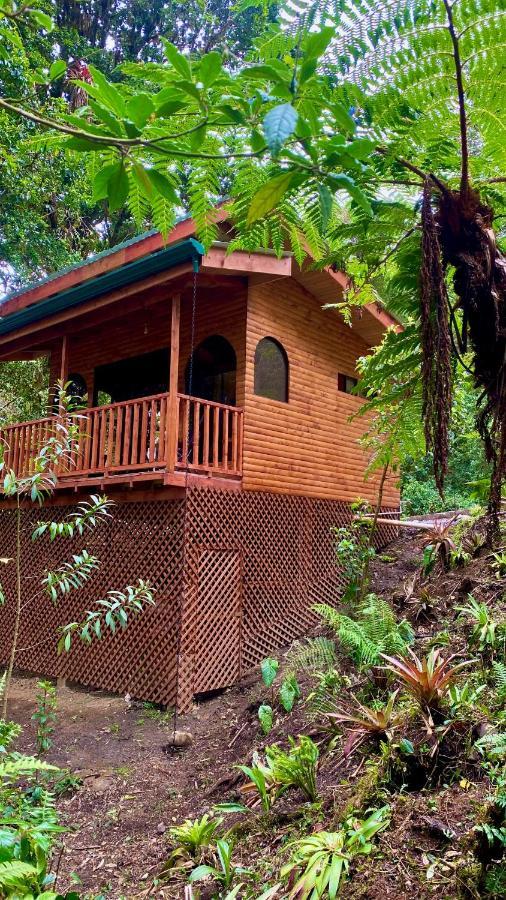 Cabana Anturios San Jose  Bagian luar foto