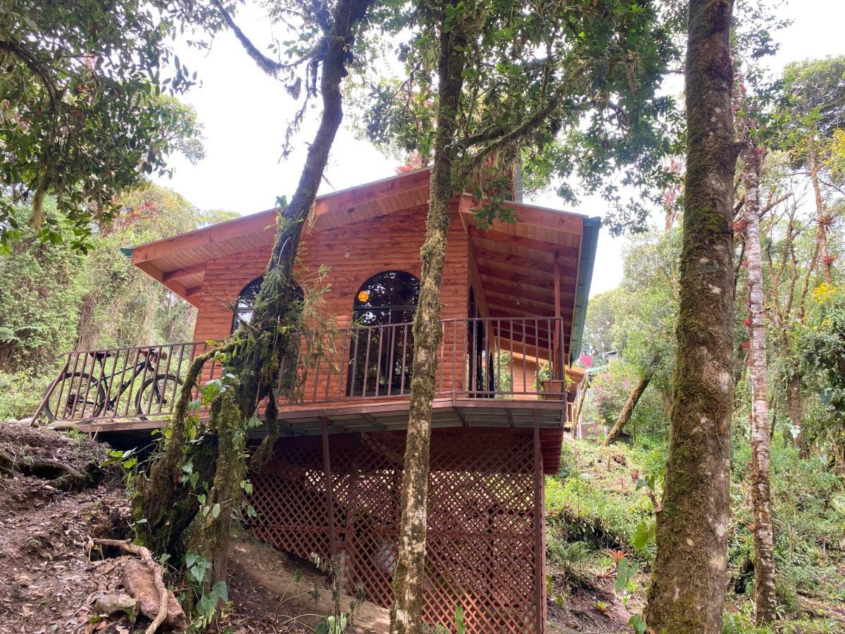 Cabana Anturios San Jose  Bagian luar foto