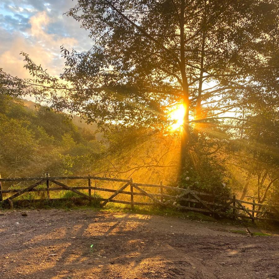 Cabana Anturios San Jose  Bagian luar foto