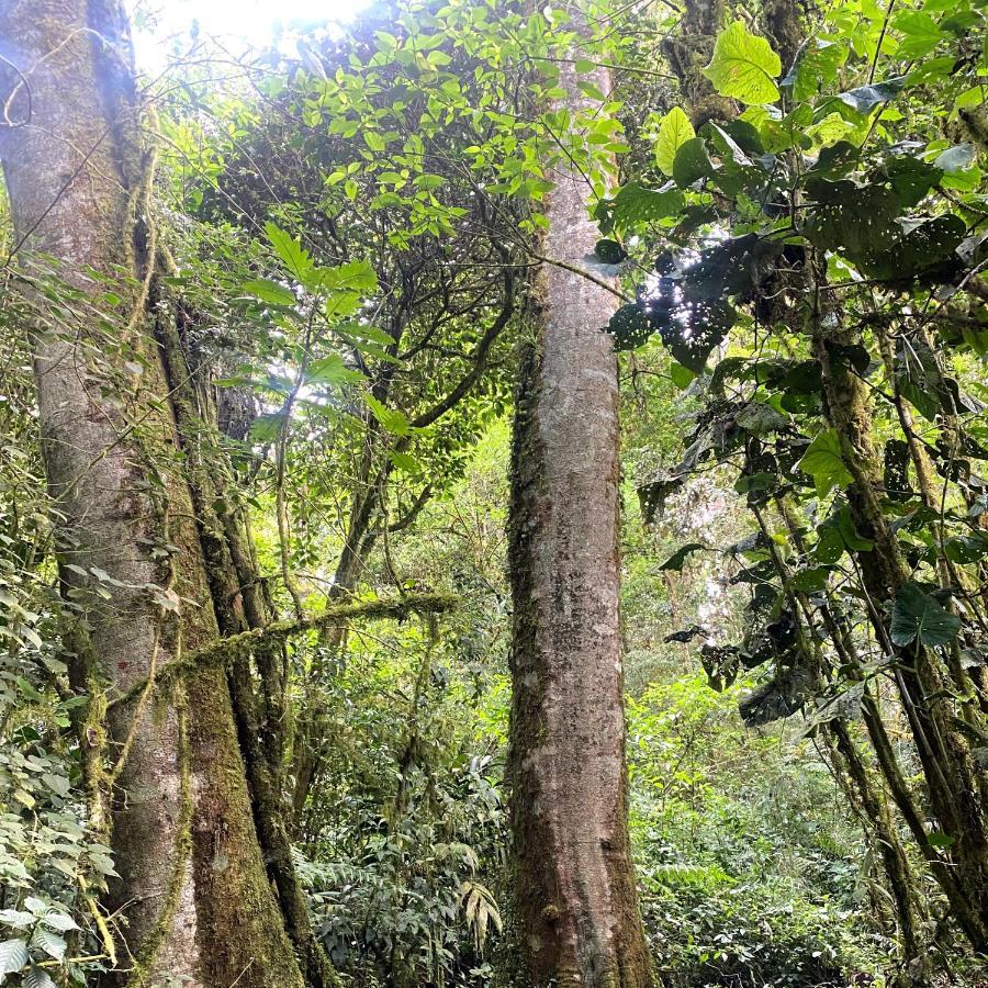 Cabana Anturios San Jose  Bagian luar foto