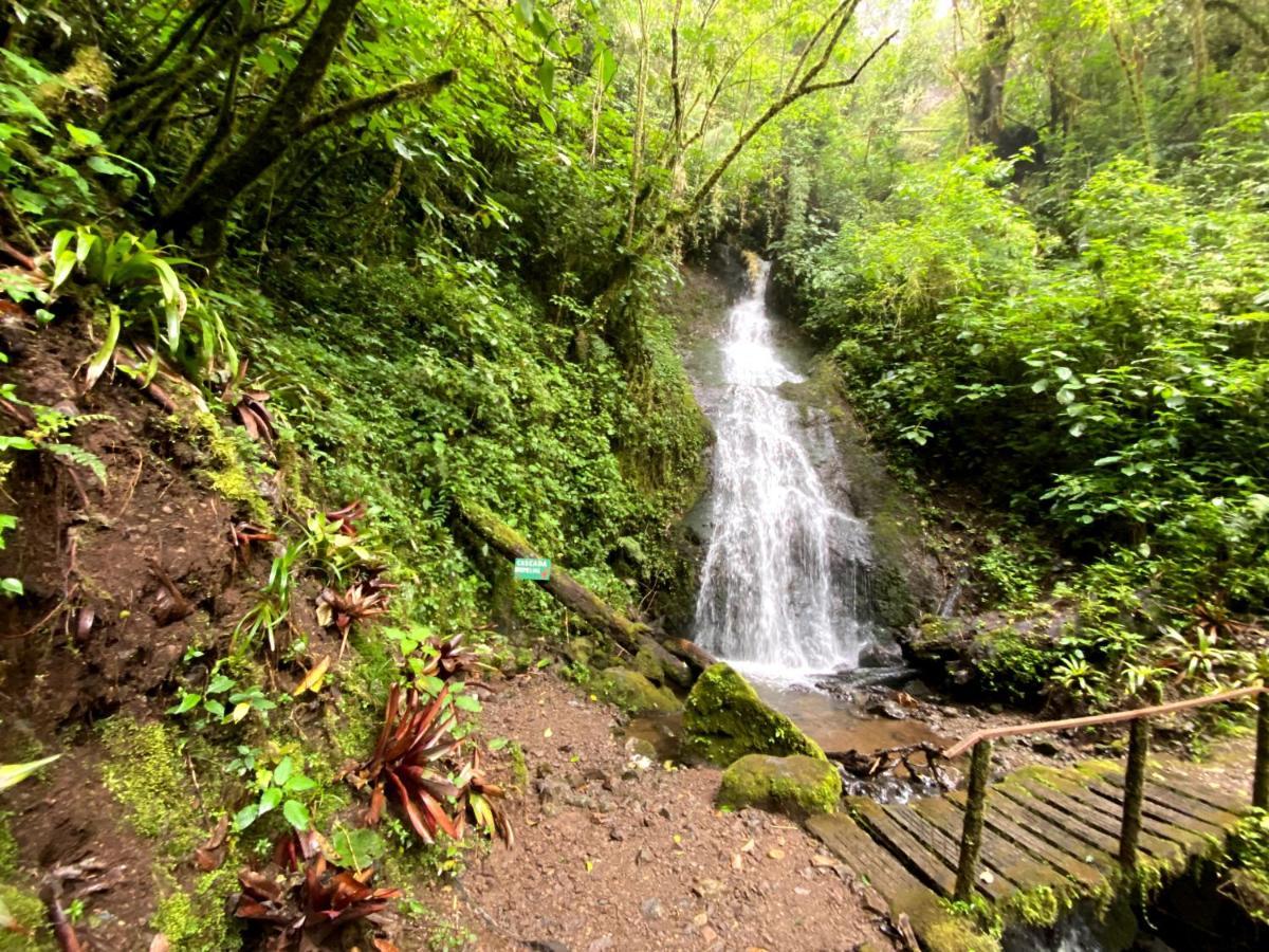 Cabana Anturios San Jose  Bagian luar foto