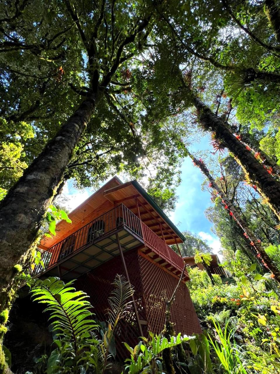 Cabana Anturios San Jose  Bagian luar foto