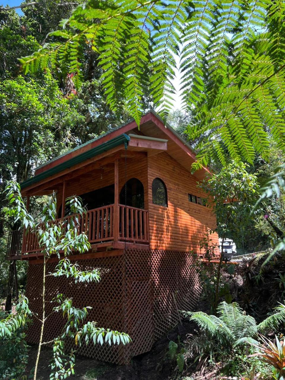 Cabana Anturios San Jose  Bagian luar foto