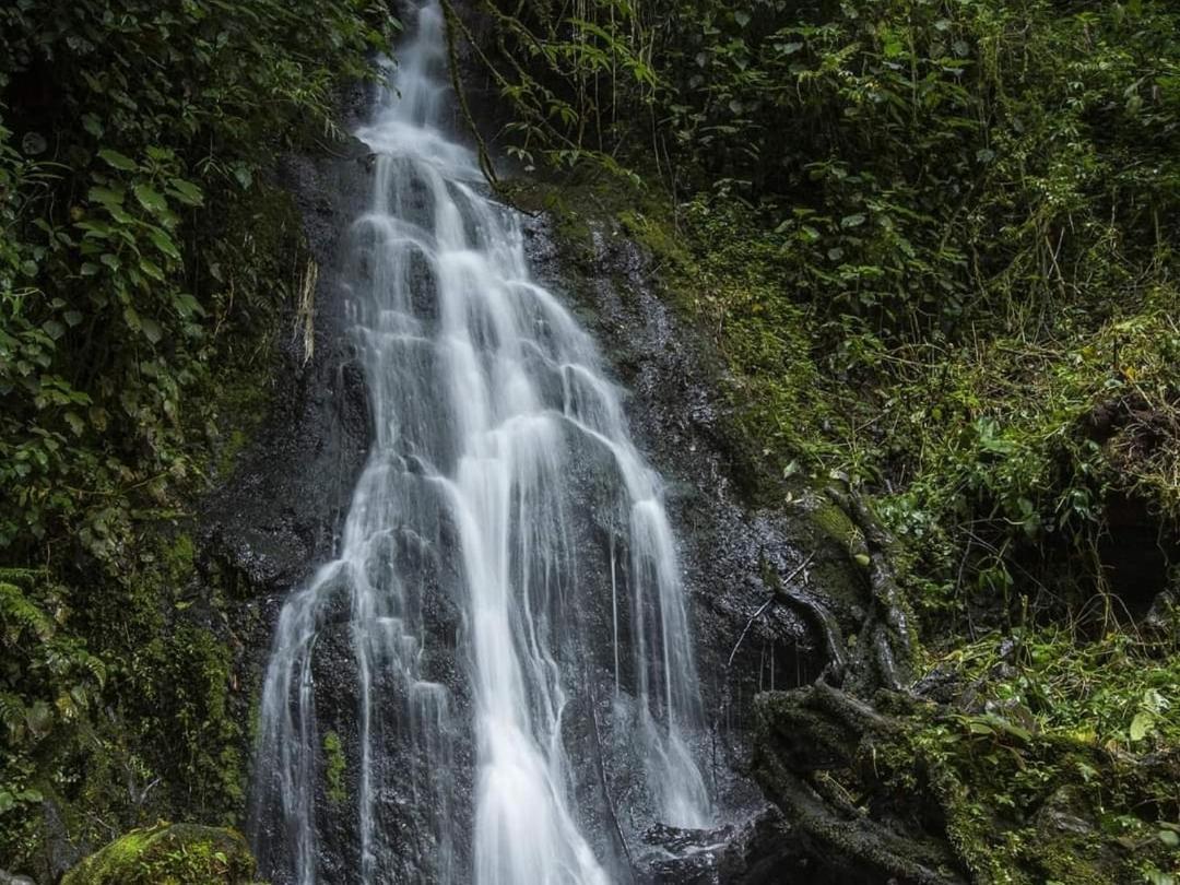 Cabana Anturios San Jose  Bagian luar foto
