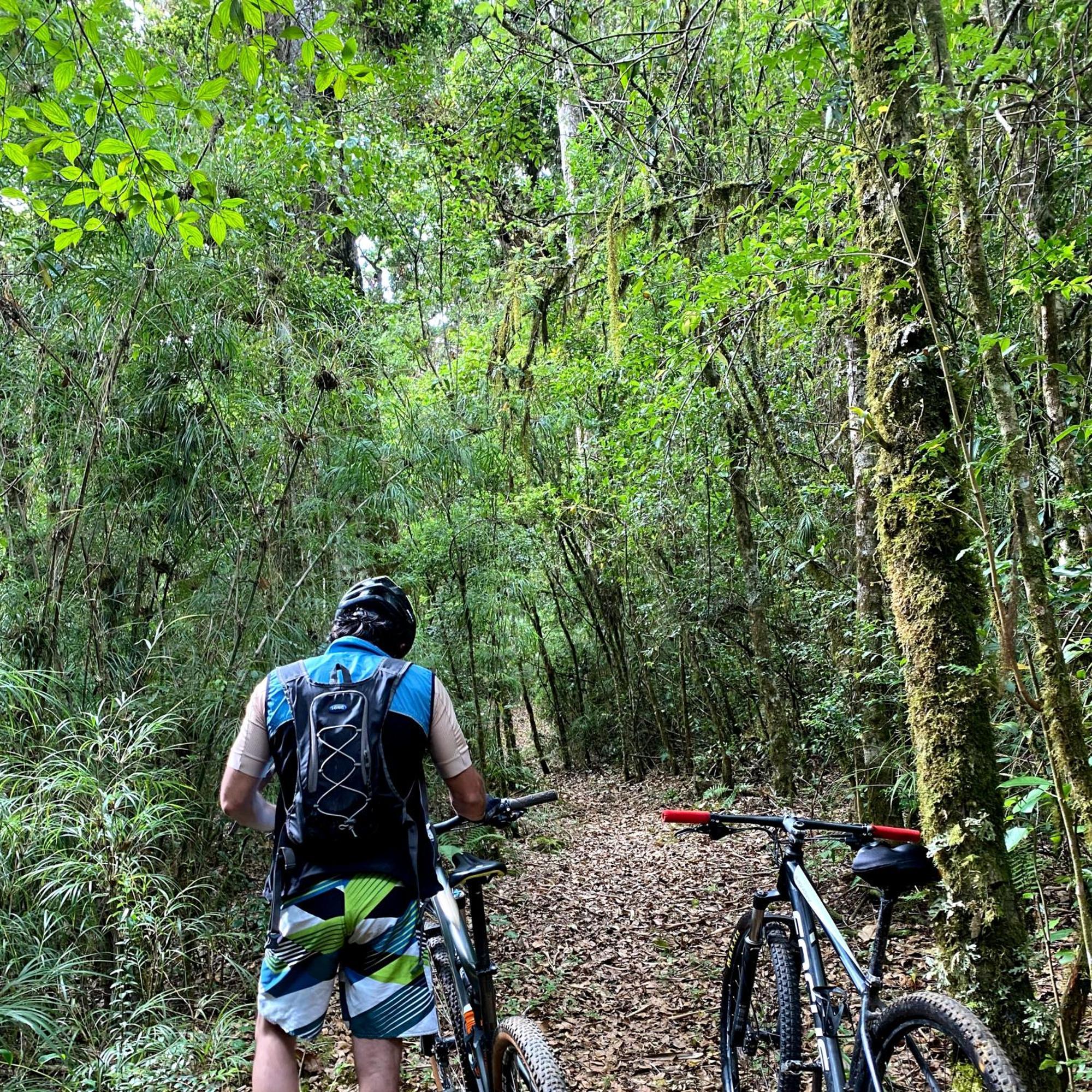 Cabana Anturios San Jose  Bagian luar foto